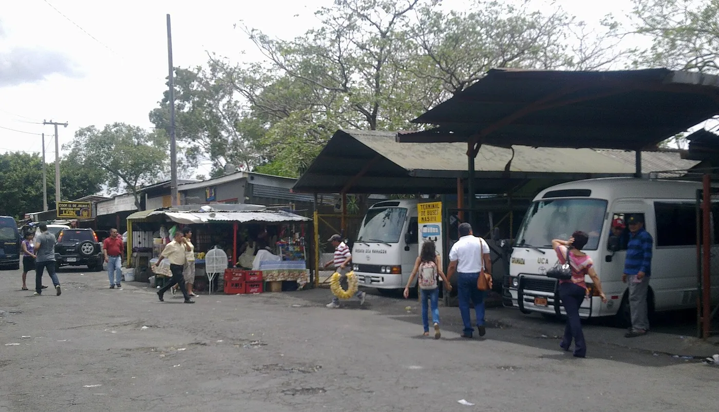 Minibuses waiting at a terminal under trees
